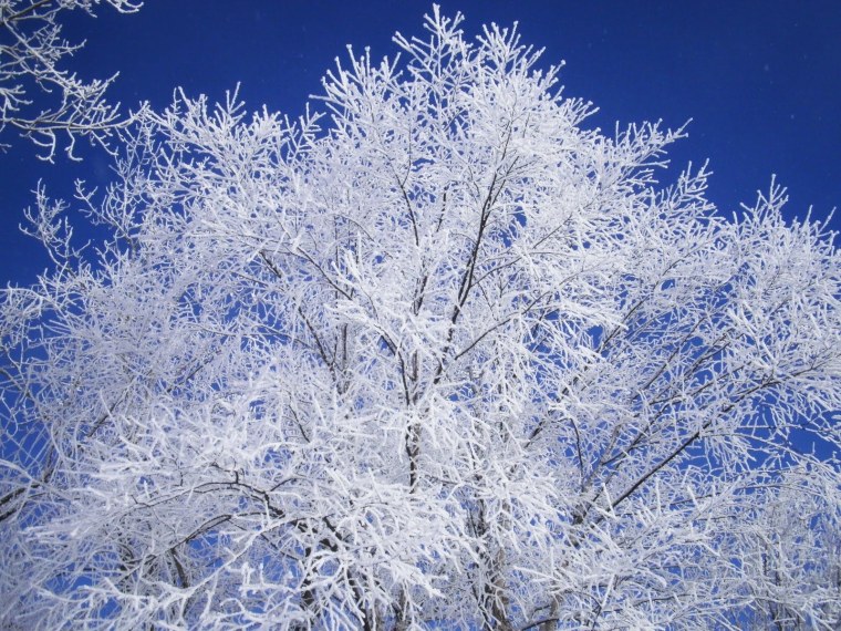 Изморозь и изморось