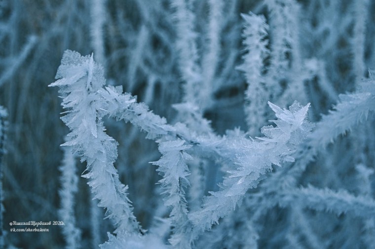 Кристаллическая изморозь