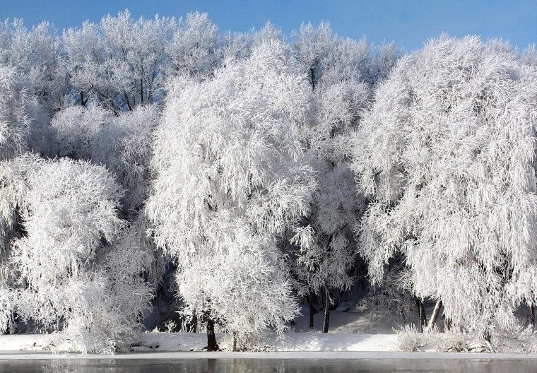Иней покрыл деревья