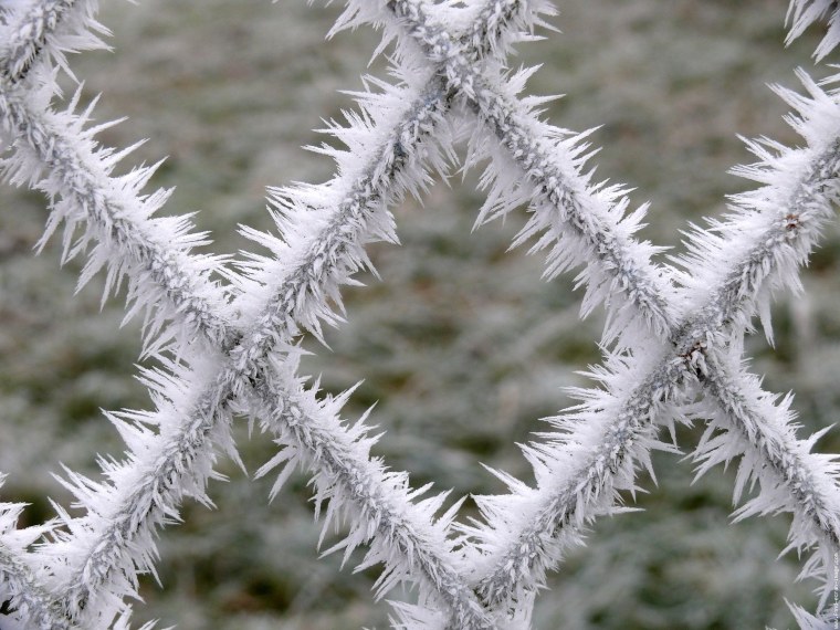 Иней на металле