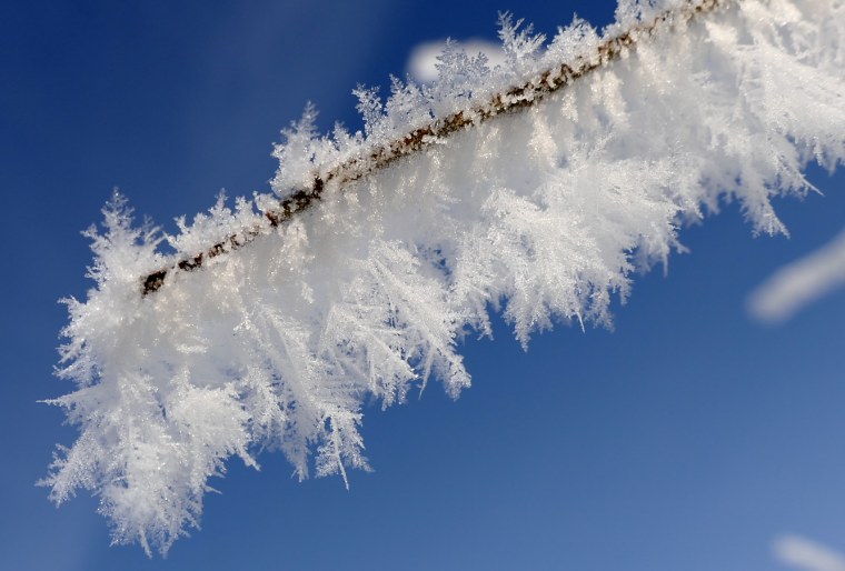 Изморозь и иней