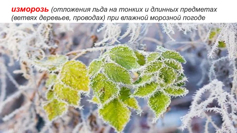 Изморозь и изморось