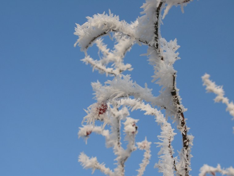 Иней картинка для детей