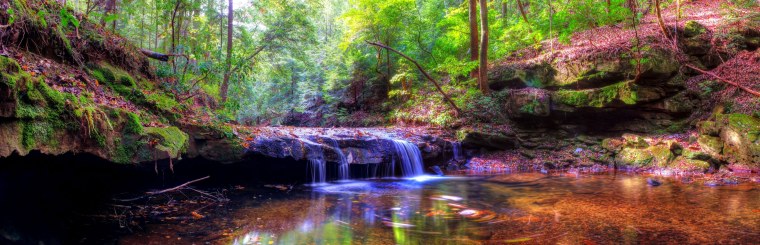 Красивая панорама природы