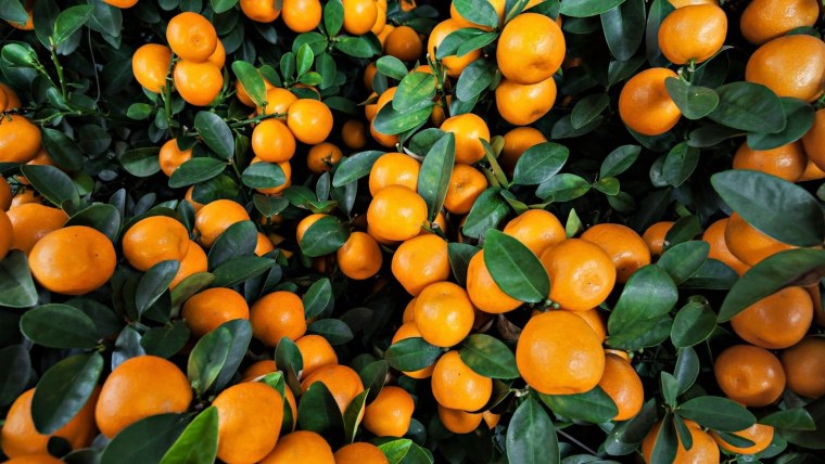 Мандарины (Абхазия)