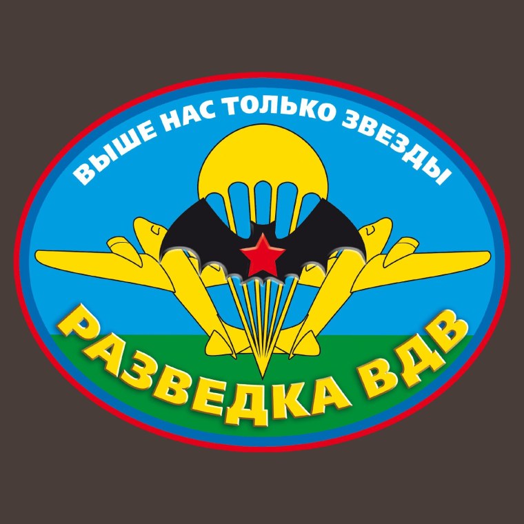 Футболка разведка ВДВ