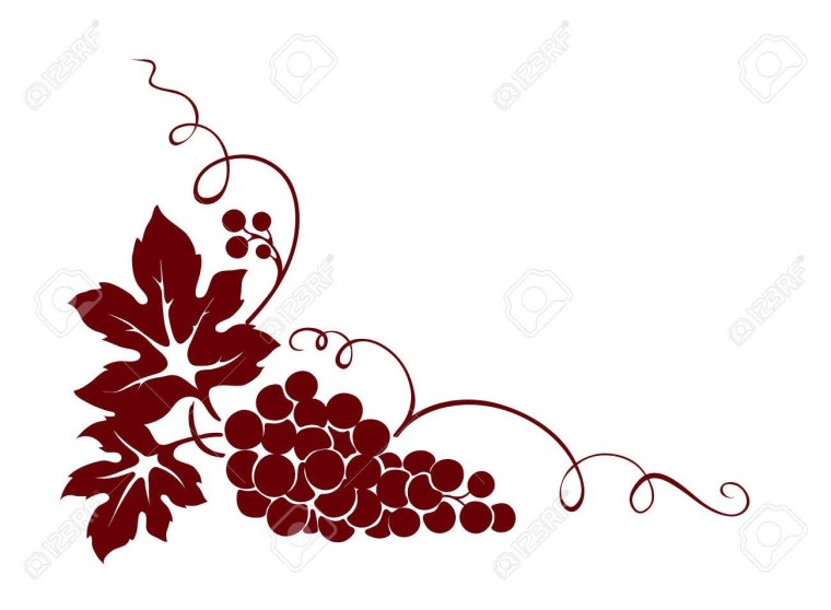 Лист лозы винограда