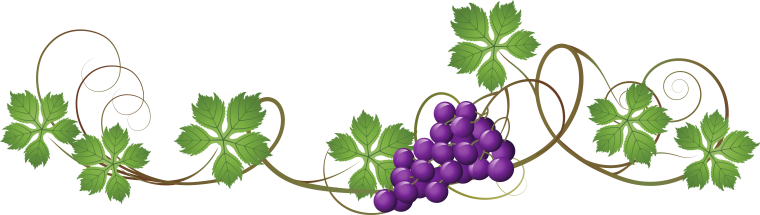 Листья лоза винограда вектор