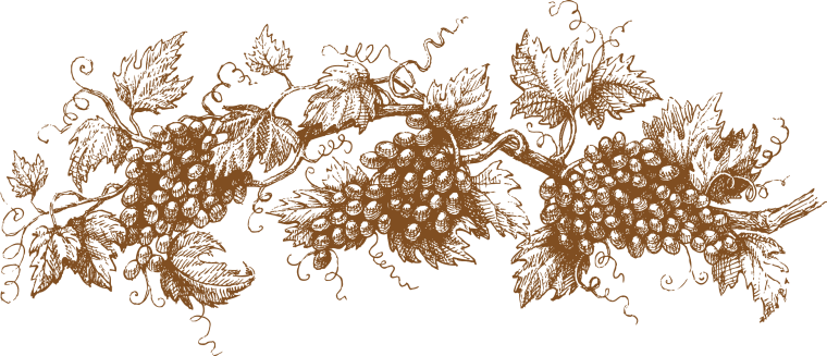 Зеленый белый виноград гроздь листья