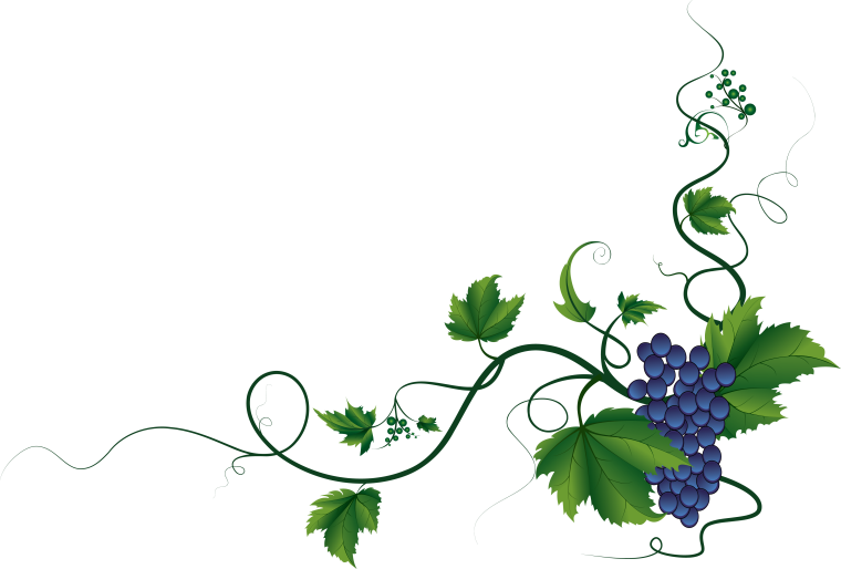 Виноградная лоза этикетка