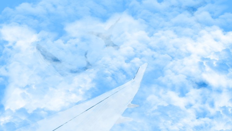 Голубое небо с самолетом