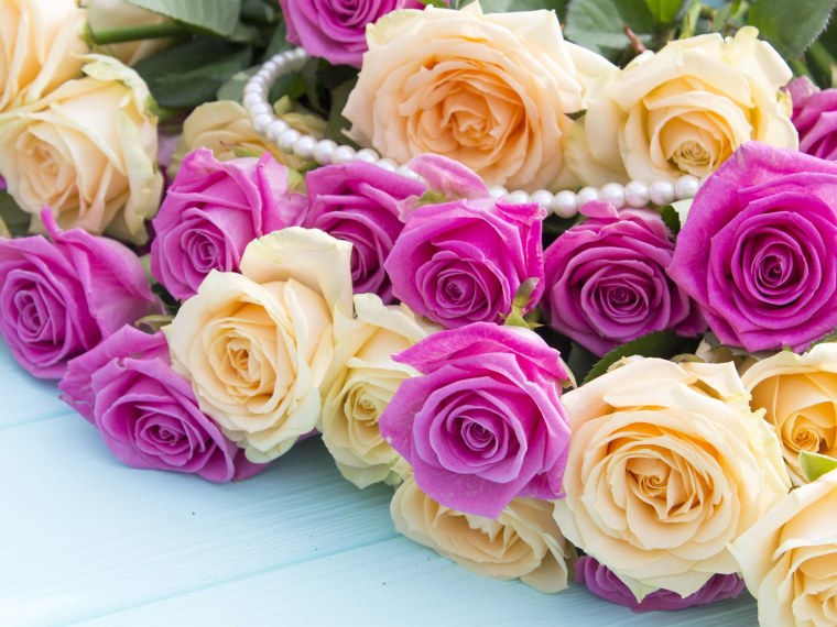 Шикарные цветы