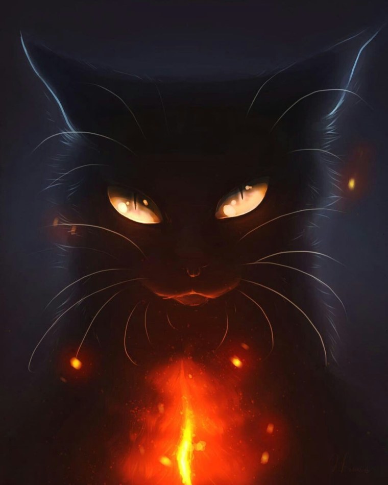 Чёрный кот арт