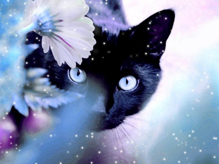 Кот в скафандре старкрафт