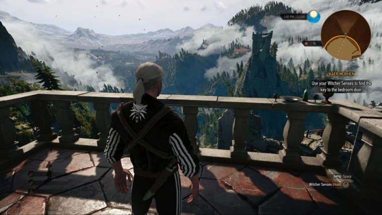 Адидас Ведьмак 3