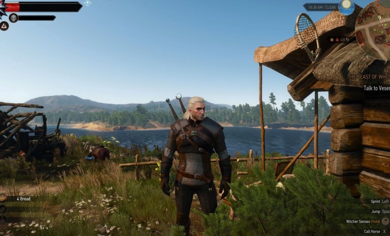 Ведьмак 3 interface