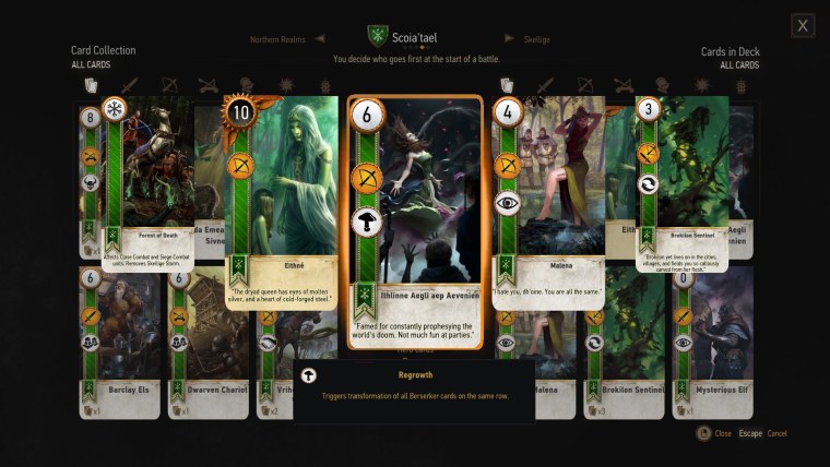 Кейран Ведьмак 3 гвинт