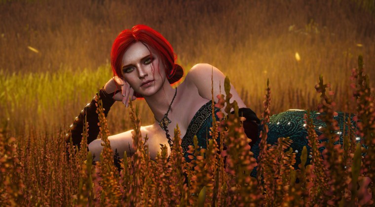 Ведьмак 3 Дикая охота Трисс Меригольд