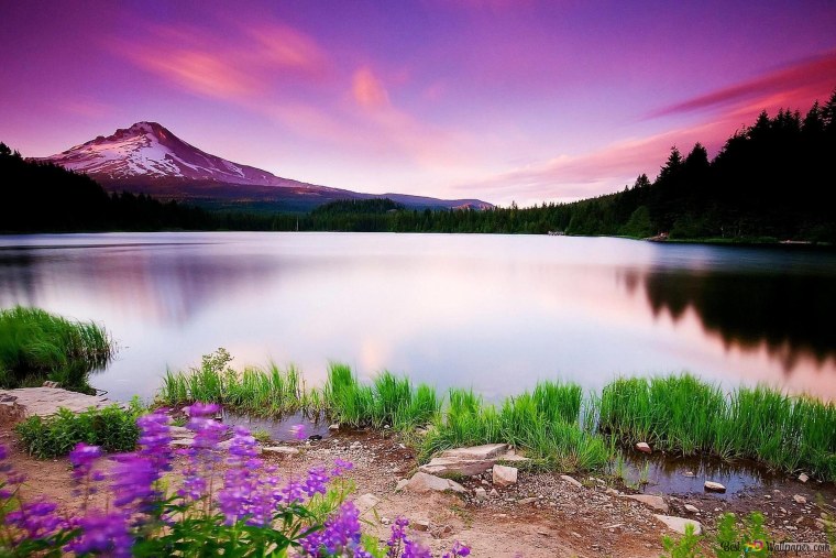 Телевизор JVC lt-40vf52k 40" (2018)