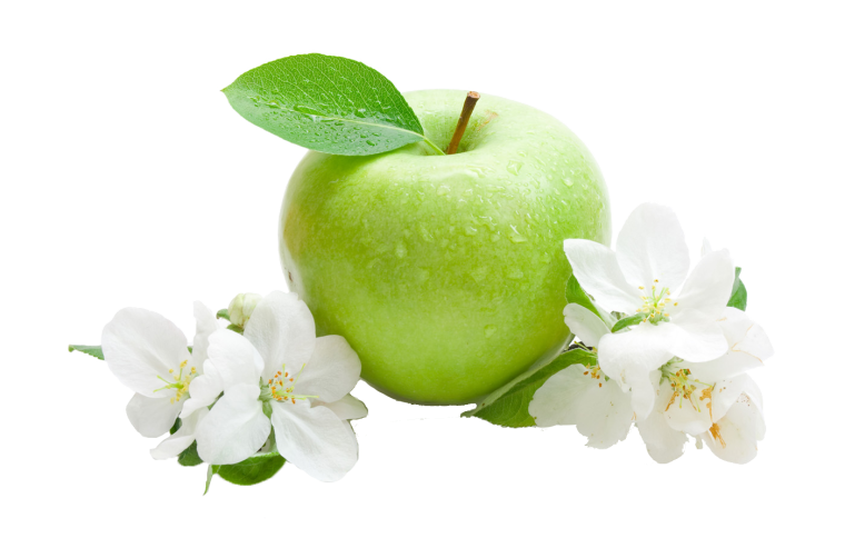 Фото яблока на белом фоне