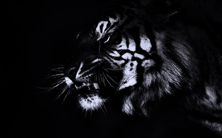 Черные обои