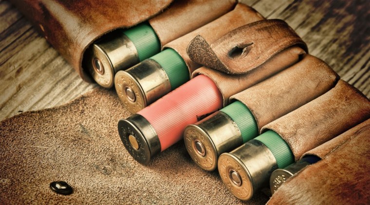 Охотничьи патроны