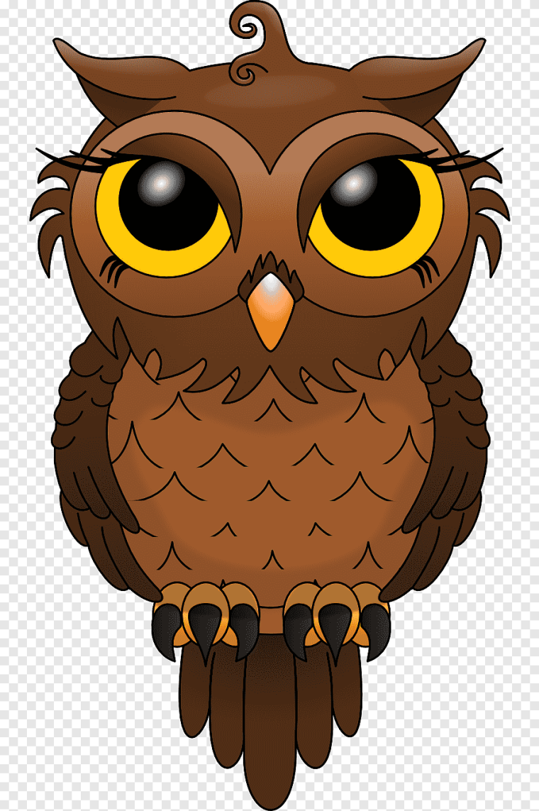 Совы картинки нарисованные