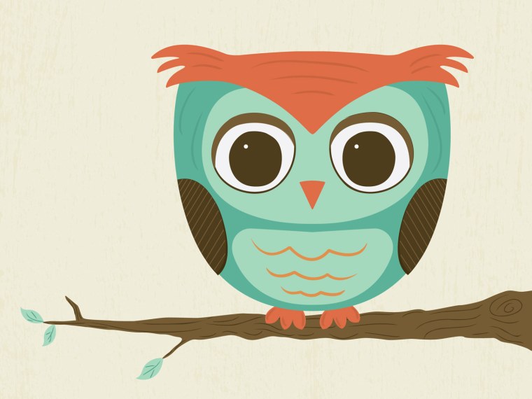 Сова в мультяшном стиле