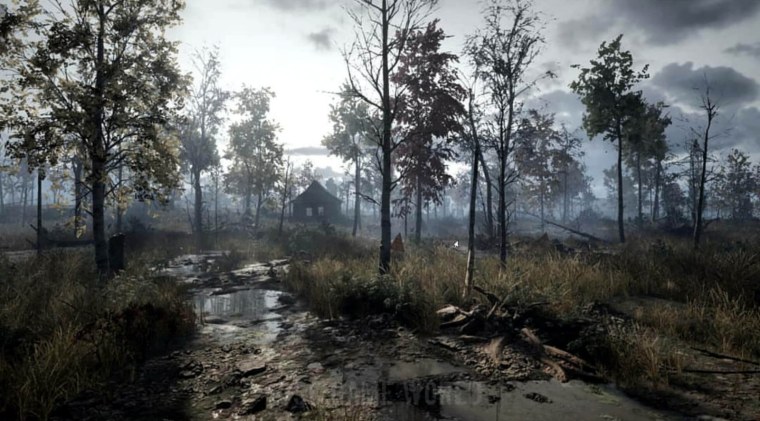 Сталкер Anomaly обои