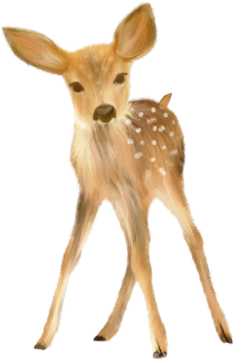 Пятнистый олень на белом фоне