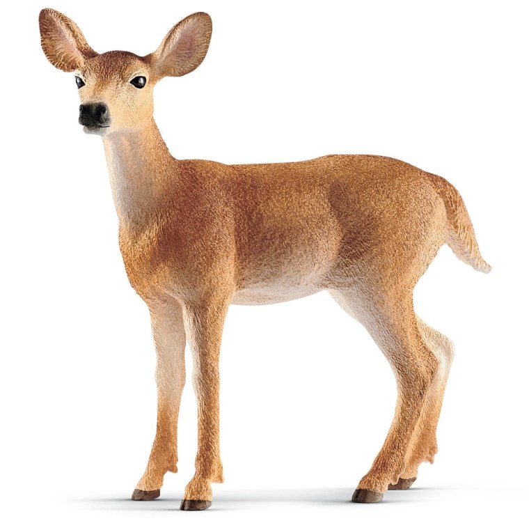 Пятнистый олень на прозрачном фоне