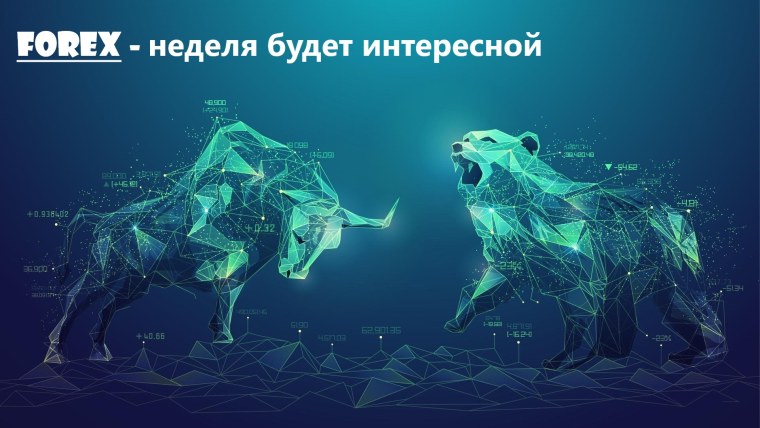 Быки и медведи на бирже