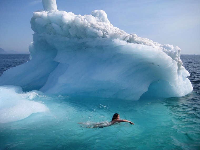 Айсберг смешные картинки