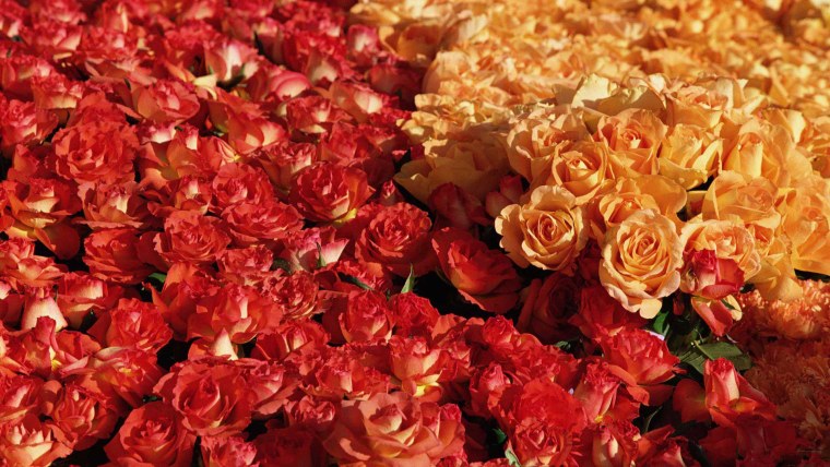 С днем рождения море роз