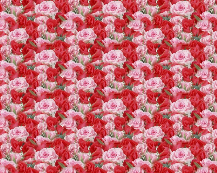 Кекенхоф розы