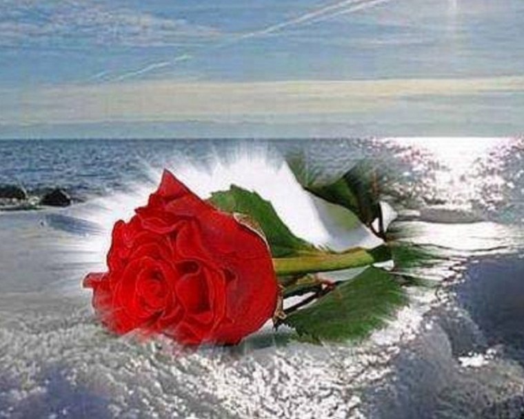 Огромный букет