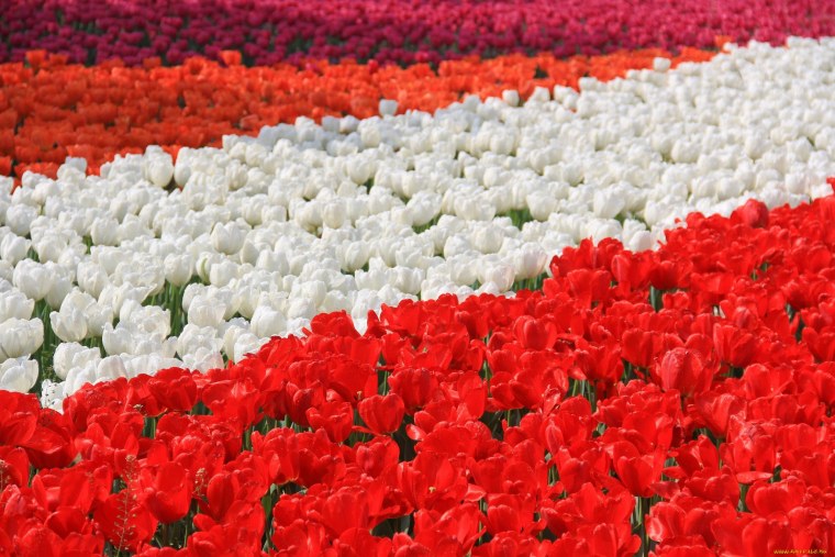 Летний вечер у моря