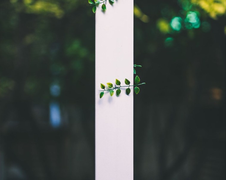 Дерево Минимализм