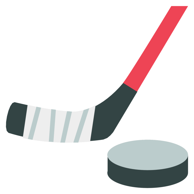 Хоккей с шайбой клюшка 2022