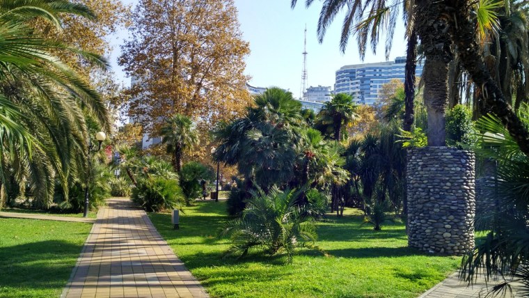 Морпорт Сочи пальмы