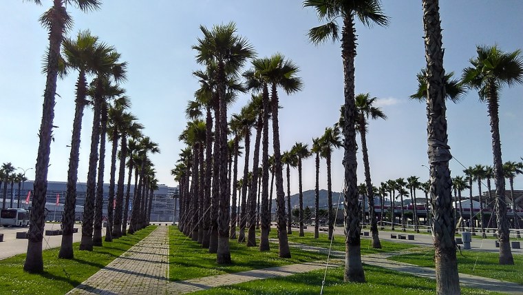 Имеретинский парк Адлер