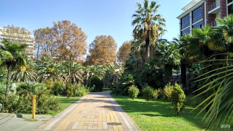 Курортный проспект Сочи