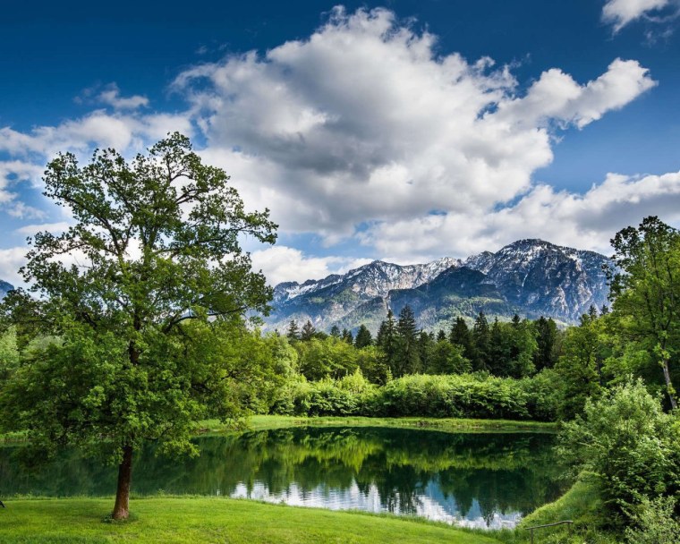 Лето природа