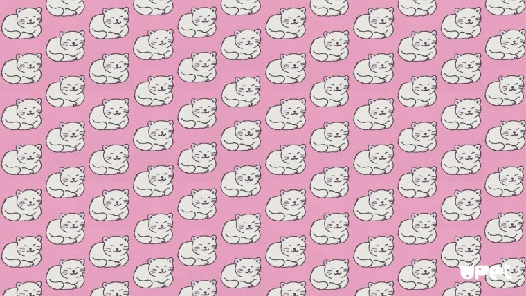 Куроми Санрио фон