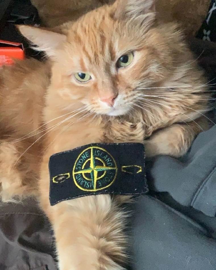 Кеша стон Исланд