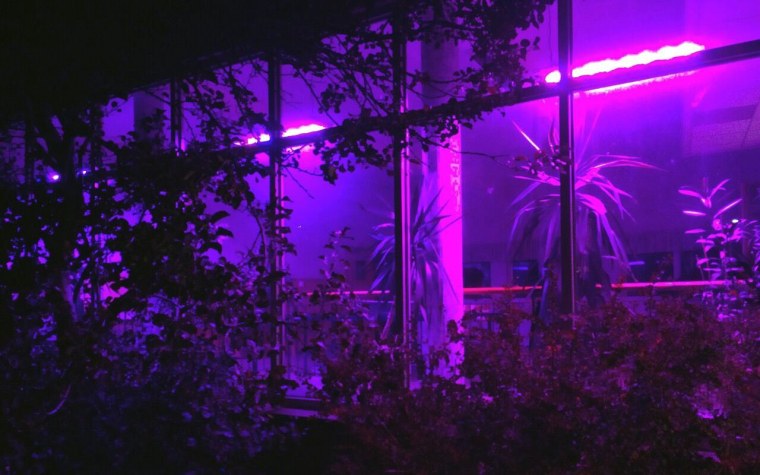 Эстетика ярко фиолетового