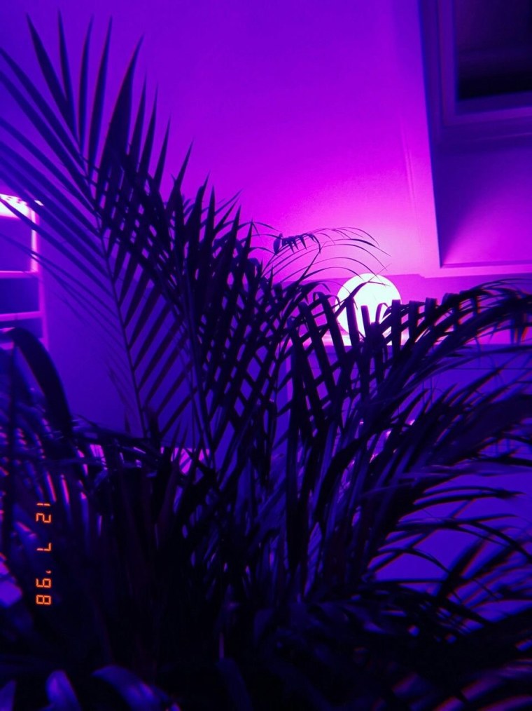 Эстетика фиолетового