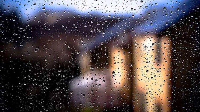 Скрипка душа