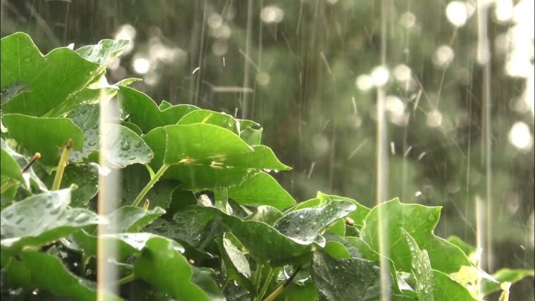 Шум дождя для релаксации