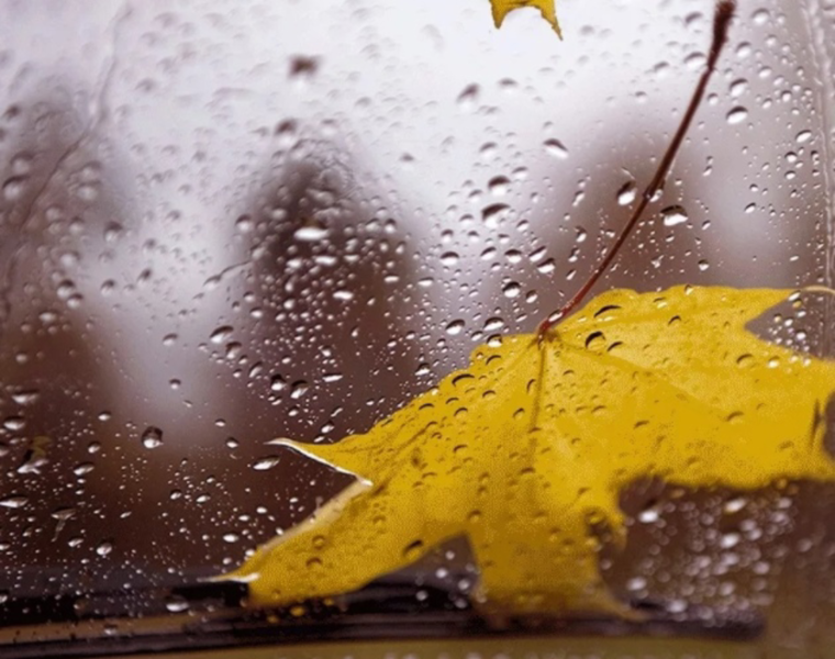 Обои на рабочий стол музыка